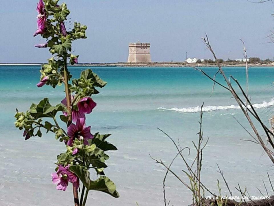 Casale Salento Bed & Breakfast Nardò Dış mekan fotoğraf